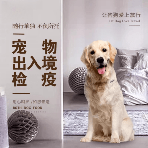 鹰潭市宠物托运到哥伦比亚猫狗宠物入境规定和