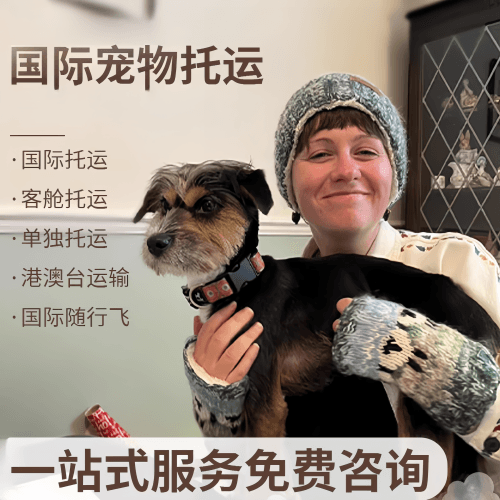 鹰潭市国际宠物托运到阿根廷宠物入境规定和要
