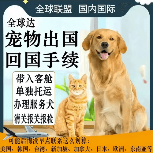 鹰潭市宠物托运到柬埔寨宠物入境规定和要求