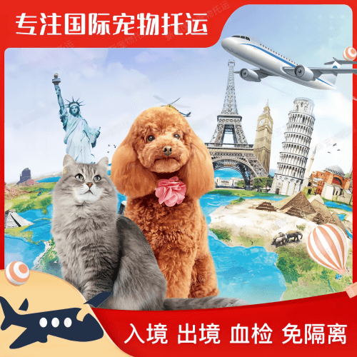 鹰潭市宠物托运到美国宠物入境最新规定和要求