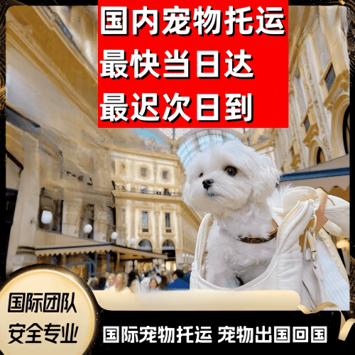 鹰潭市到澳大利亚（澳洲）宠物入境规定和要求