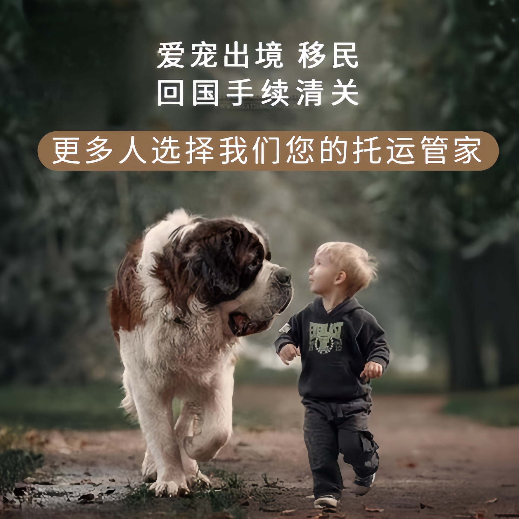 满财鹰潭市宠物全球达宠物托运在遵守入境目的地政策的条件