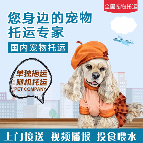 满财鹰潭市宠物全球达宠物托运作为专业的宠物运输代理机构